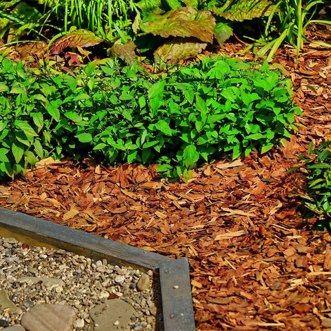 Dekorative Holzschnitzel / Deko Mulch