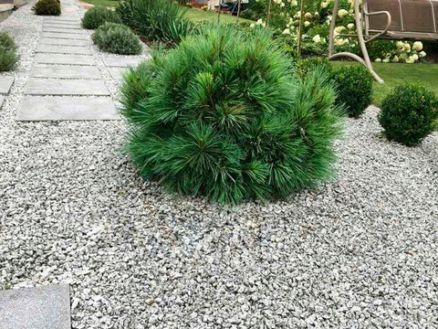 Edelsplitt / Kieselsteine für Garten - Grauer Granitsplitt
