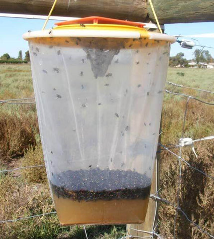 Tüten-Falle für Fliegen und Wespen