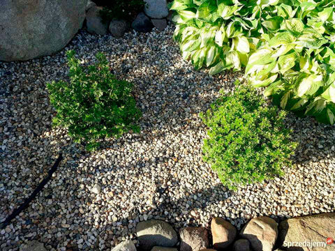 Ziersteine – Kies für Garten Deko - Grauer Kies